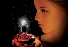 Estrela da Noite, Os Imortais, Alyson Noel. Adquira pelo Whats 11 912915070