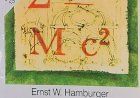 O Que É Física, Ernst W. Hamburger. Adquira pelo Whats 11 912915070