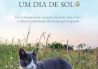 Cinzento, Um Dia de Sol, A História de Um Gato Abandonado, Mauro Pereira-Silva. Adquira pelo Whats 11 912915070