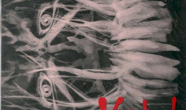 Compre aqui o Mangá Vagabond Número 5 - A História de Musashi, Takehiko Inoue