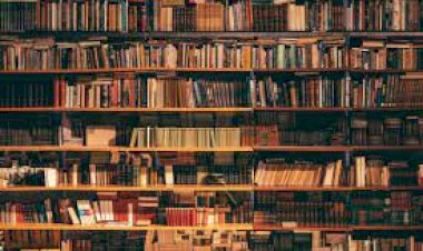 Quer Doar Seus Livros? Nós Retiramos. Wts 11912915070 - Só texto