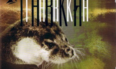 Cd Anthony Phillips do Genesis, Harry Williamson, Tarka, 2001 (Importado Inglaterra)