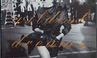Cd Tina Turner, Bonus, Wildest Dreams, Importado USA