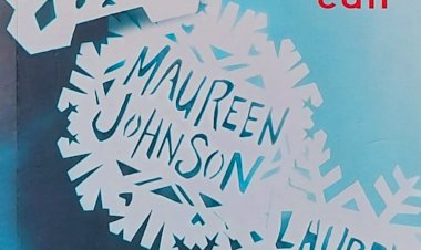 Deixe a Neve Cair, John Green, Maureen Johnson, Lauren Myracle. Adquira pelo Whats 11 912915070