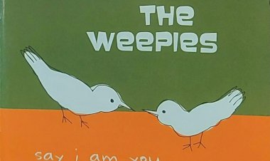 Cd The Weepies, Say I Am You, Importado USA. Adquira pelo Whats 11 912915070