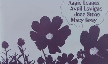 Cd Woman, O Melhor das Novelas da Globo. Adquira pelo Whats 11 912915070