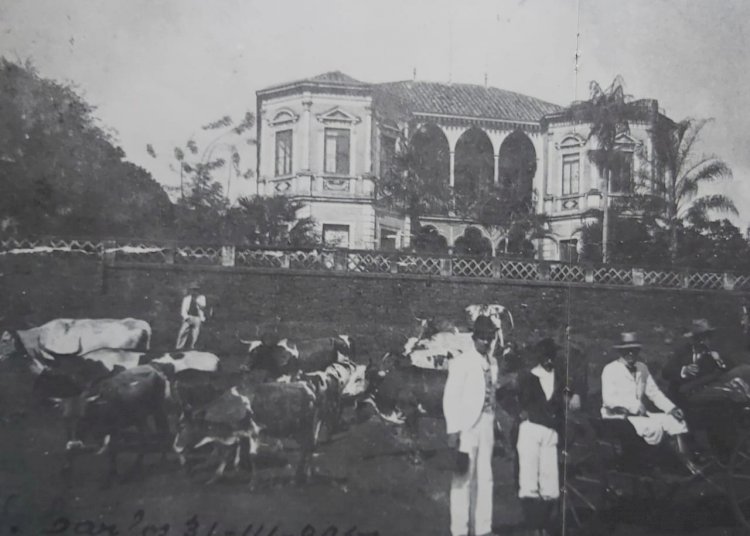 1905 - Fazenda Santa Maria - São Carlos