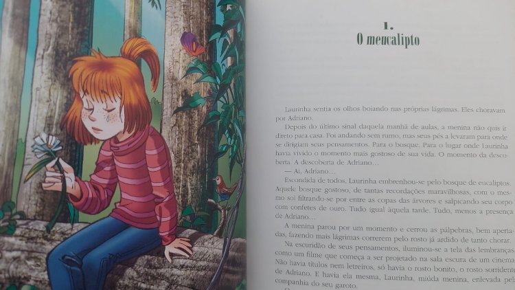 O Mistério da Fábrica de Livros, Pedro Bandeira, Ilustrações Osnei - Adquira o seu pelo Whts 11 912915070