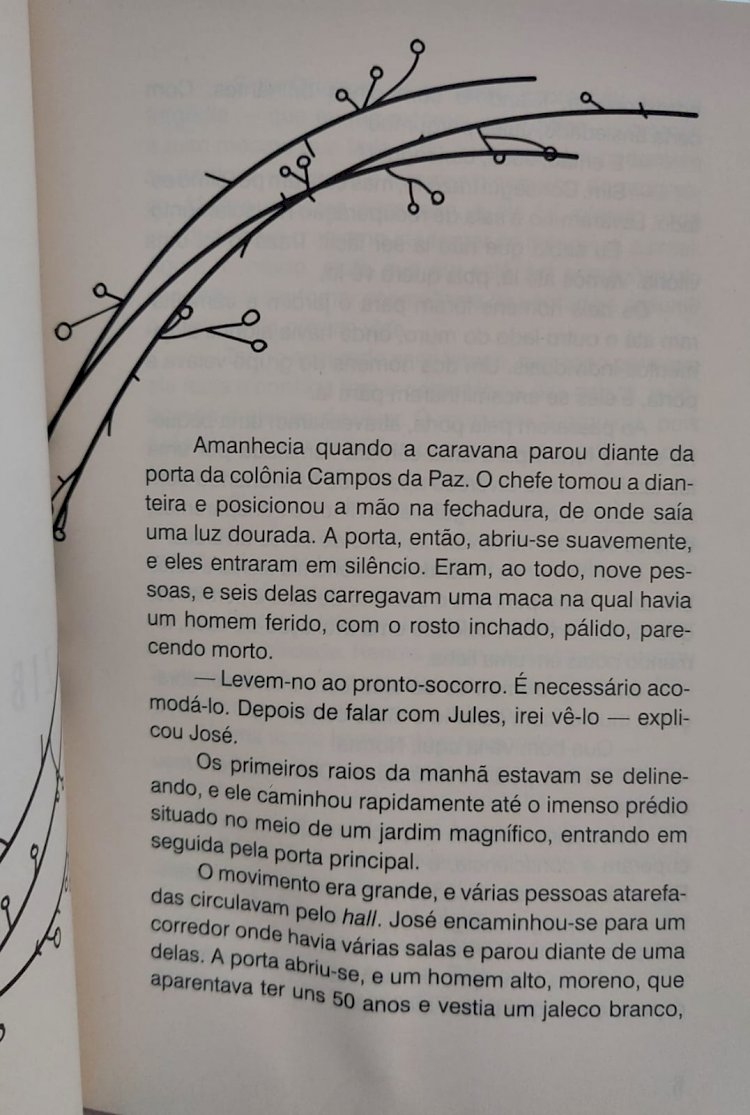 A Força da Vida, Zibia Gasparetto, Romance Ditado pelo Espírito Lucius. Adquira pelo Whats 11 912915070