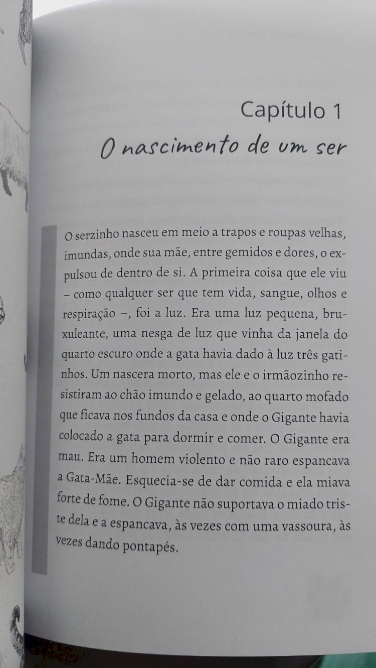 Cinzento, Um Dia de Sol, A História de Um Gato Abandonado, Mauro Pereira-Silva. Adquira pelo Whats 11 912915070