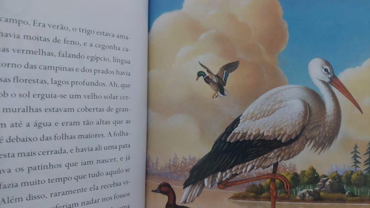 O Patinho Feio, Hans Christian Andersen, Ilustrações de Henri Galeron, Companhia das Letrinhas. Adquira pelo Whats 11 912915070
