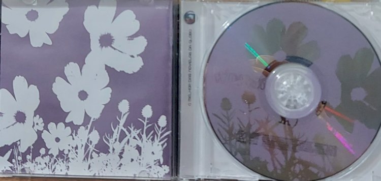 Cd Woman, O Melhor das Novelas da Globo. Adquira pelo Whats 11 912915070