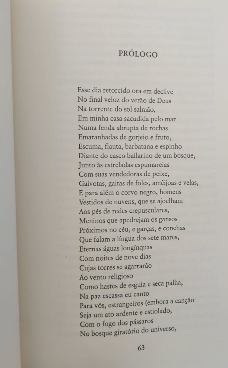 Poemas Reunidos 1934 a 1953, Dylan Thomas, Capa de Luxo. Adquira pelo Whats 11 912915070